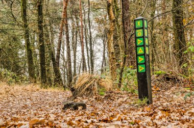 Moergestel, Hollanda, 6 Aralık 2019: Bir orman yolunun yanındaki direkte çeşitli yürüyüş yollarını gösteren oklar var.