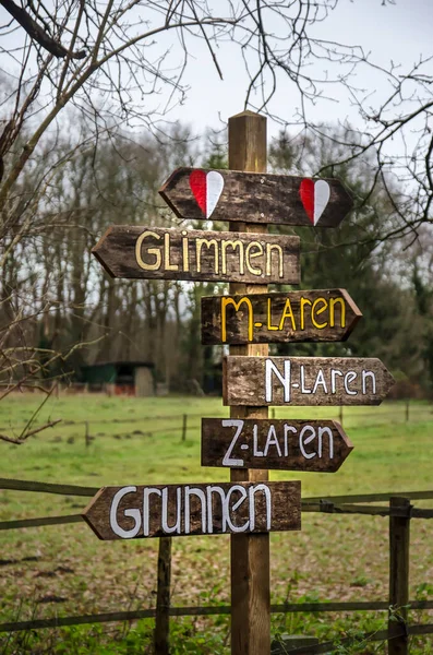 Zuidlaren Netherlands December 2019 Handmade Wooden Sign Indicating Place Names — 스톡 사진