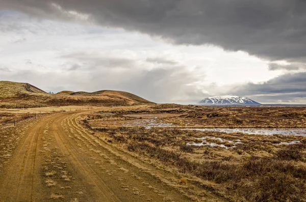 Strada Sterrata Paesaggio Desolato Vicino Lago Myvatn Islanda Con Pozzanghere — Foto Stock