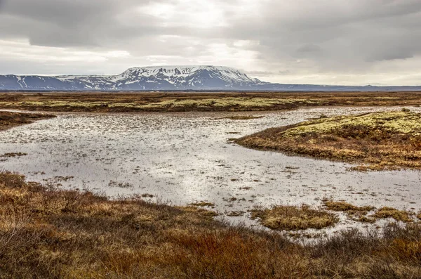 Zlanda Düzlüklerinde Sığ Bir Birikintisi Myvatn Yosun Çimen Bulutlu Bir — Stok fotoğraf