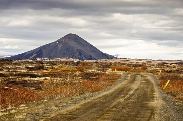 Icelandic Landscape Lake Myvatn Dirt Road Bushes Leading Some Scattered — Stock Photo, Image