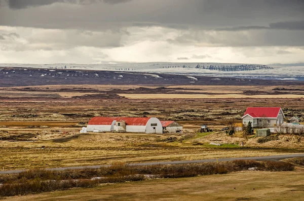 Skutustadir Islande Avril 2022 Ferme Granges Chevaux Dans Paysage Désolé — Photo