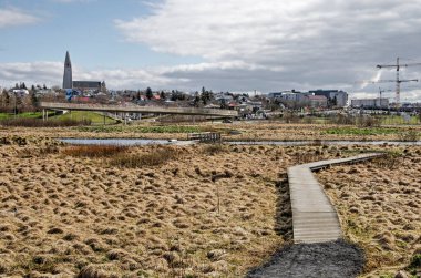 Reykjavik, İzlanda, 25 Nisan 2022: Vatnsmyri doğa koruma alanında ahşap bir yol boyunca hastane ve Hallgrimskirkja ile şehir merkezine doğru görüş