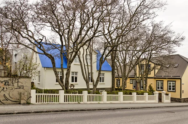 Reykjavik Iceland April 2022 Relatively Large Trees Garden Old Town — Stock Photo, Image