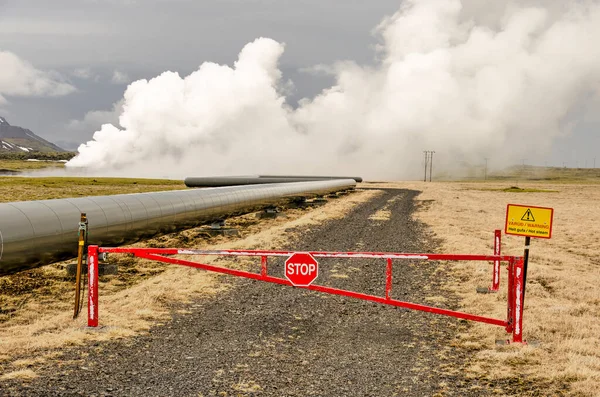 Hengill Ijsland April 2022 Uitzicht Een Veld Van Mos Naar — Stockfoto