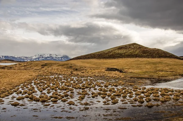 Paesaggio Nella Regione Myvatn Islanda Con Ciuffi Erba Stagni Poco — Foto Stock