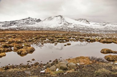 İzlanda 'daki Snaefellsness yarımadasında, arka planda karla kaplı dağlarla, yosun, ot ve kayalarla kaplı sığ bir gölette.