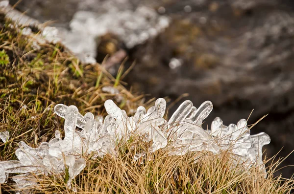 Zlanda Bir Dağların Kıyısında Çimenlerin Üzerinde Oluşan Buz Şekilleri — Stok fotoğraf