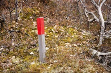 Tahta bir direk, kısmen kırmızıya boyanmış, İzlanda 'da bir lav yatağında iz bırakır.