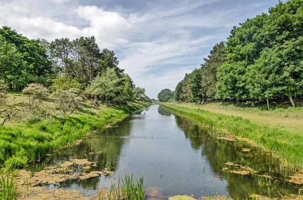 Canal Long Droit Bordé Roseaux Herbe Arbres Buissons Dans Les — Photo