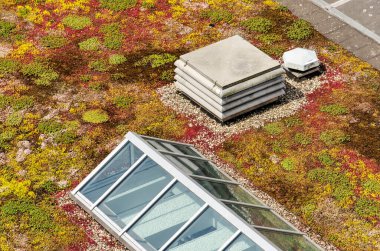Colorful roof with variants kinds of sedum, a roof light and ventilation machinery clipart