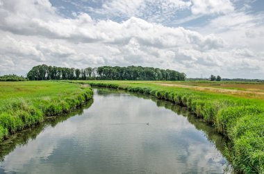Biesbosch Ulusal Parkı 'ndaki Noordwaard bölgesinde yeşil bir polder arazisinde kavisli bir dere.