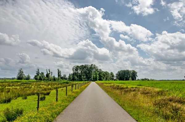 Biesbosch milli parkında Noordwaard bölgesinde muhteşem bir yaz gökyüzünün altında bataklık ve çayır arasındaki dar ve düz asfalt yol