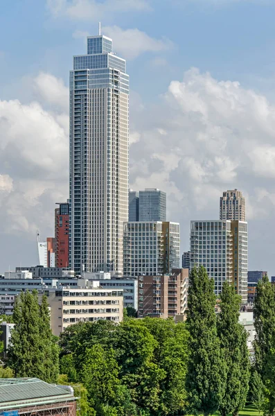 Rotterdam Nizozemsko Června 2022 Nedávno Dokončená Věž Zalmhaven Tyčící Stromy — Stock fotografie