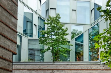 Munster, Almanya, 29 Temmuz 2022: Prinzipalmarkt 'taki sokak sahnesi, kumtaşı cepheli tarihi binalarla dolu.