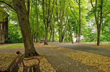 Munster, Germany, July 29, 2022: footpath in a green zone along the river Aa right in the center of town