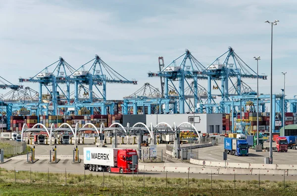 Rotterdam, Hollanda, 12 Eylül 2022: Maasvlakte sanayi bölgesindeki konteynır terminallerinden birinin kıyı manzarası
