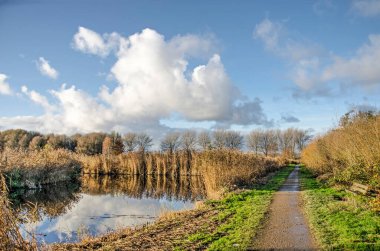 Hollanda, Delft yakınlarındaki polder manzarası bir patika, ağaçlar ve çalılar, refleks bir gölet ve dost bulutlar