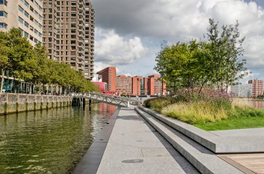 Rotterdam, Hollanda, 29 Eylül 2022: Çelik, taş ve ahşap kaldırım ve Rijnhaven limanındaki yüzen parkın birinci bölümünde çiçek ve çalılarla dolu bir yatak.