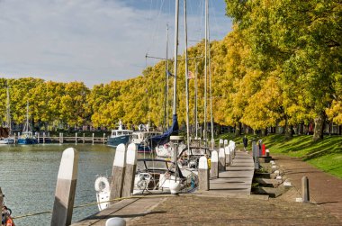 Enkhuizen, Hollanda, 4 Ekim 2022: Buitenhaven (Dış Liman) rıhtımı boyunca altın kül ağaçları ile kaplı