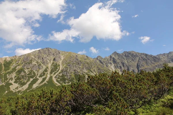 特拉山 — 图库照片