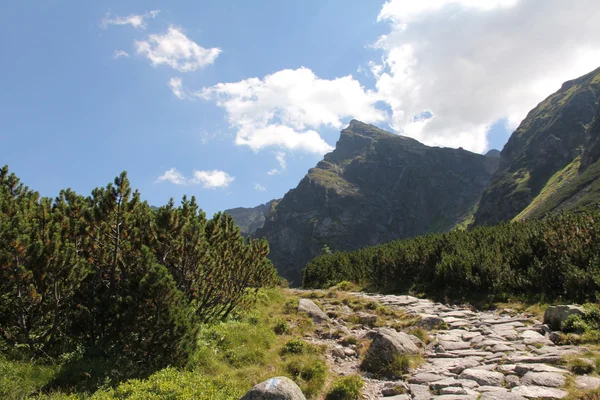 Tatry berg — Stockfoto