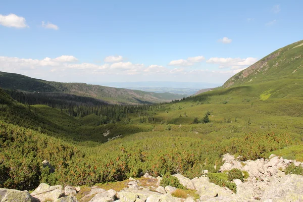 Гори Татри — стокове фото