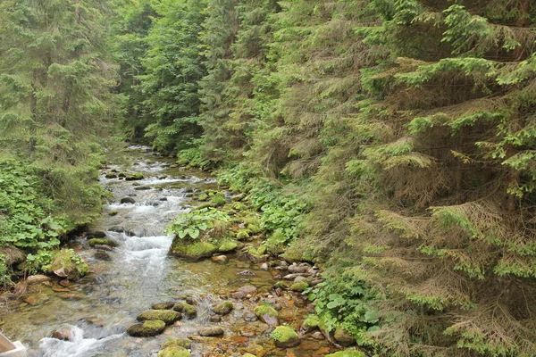 Mountain Poland — Stock Photo, Image