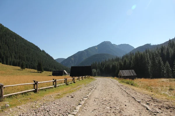 Mountain Polen — Stockfoto