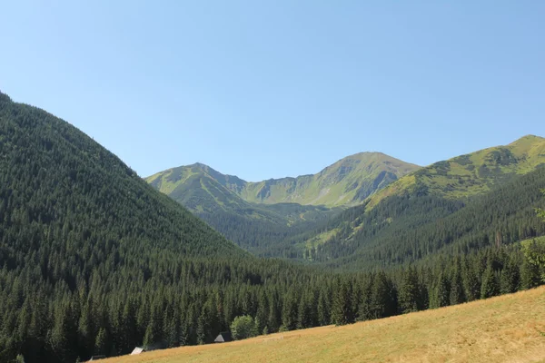 Montaña Polonia — Foto de Stock