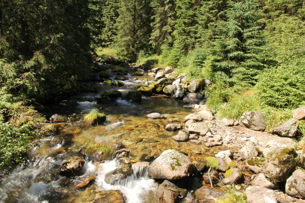 A mountain stream — Stock Photo, Image