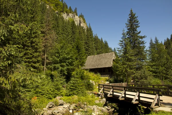 Tatry Zakopane Stockfoto