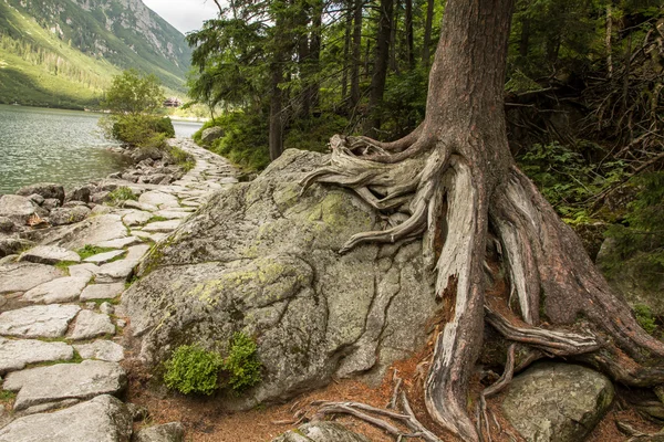 Morskie Oko, Zakopane — Stok fotoğraf