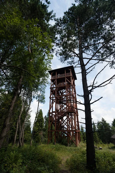 Viewing Tower Eliaszwka Beskid Sdecki — 스톡 사진
