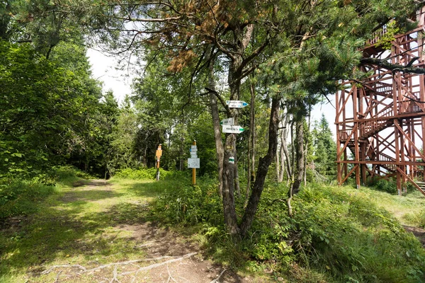 Hiking Trails Beskid Sdecki Piwniczna Zdrj — Stock fotografie