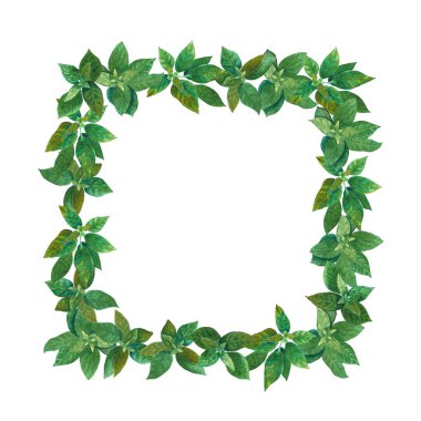 Yeşil fesleğenli suluboya kare çerçeve. Kartlar için bitkisel şablon, düğün davetiyesi, posterler, tarihi veya selamlama tasarımını kaydet. Metnin için el çizimi yaz bitkileri.