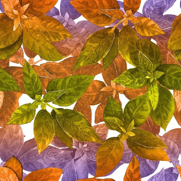 Watercolor Seamless Green Purple Orange Herbal Pattern Isolated Hand Drawn — Stockfoto