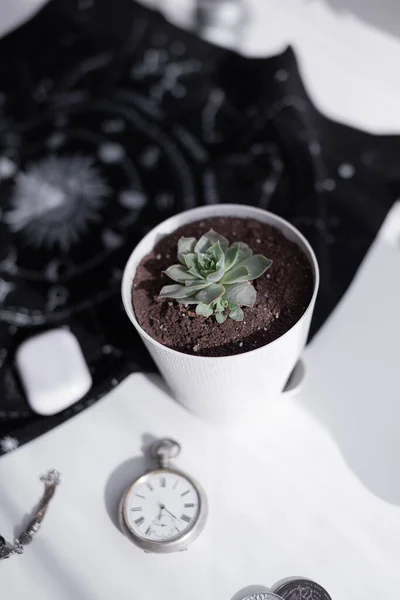 Tarolog ve astrolog için yerleşim planı. Astrolog için içerik