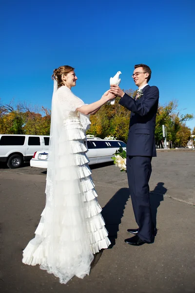 Bride and groom with white pigeons on wedding walk — Stock Photo, Image