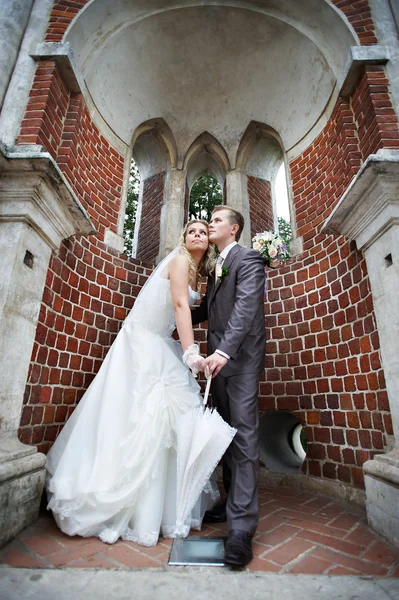 Happy bride and groom in a beautiful arch — Stock Photo, Image