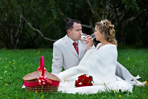 Braut und Bräutigam beim Hochzeitspicknick — Stockfoto