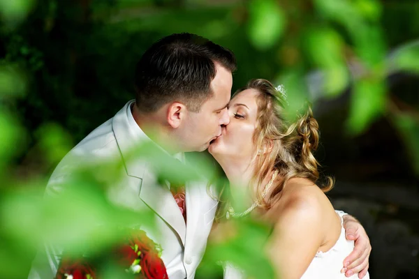 Romantic kiss bride and groom on wedding walk — Stock Photo, Image