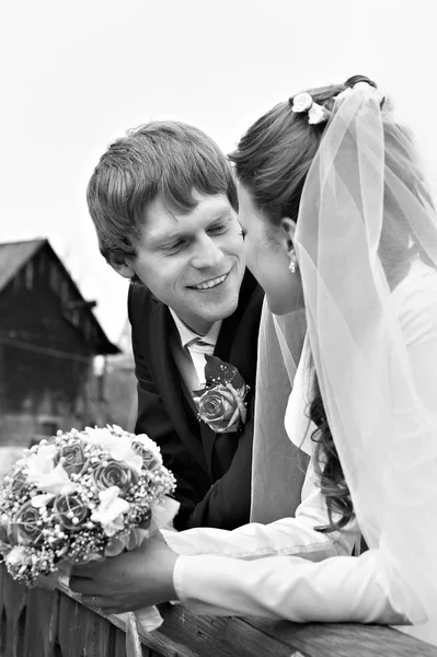 Bride and Groom — Stock Photo, Image