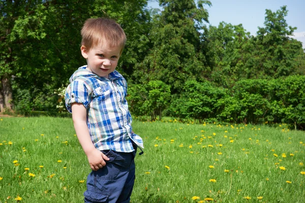 Kleine jongen staat op weide — Stockfoto