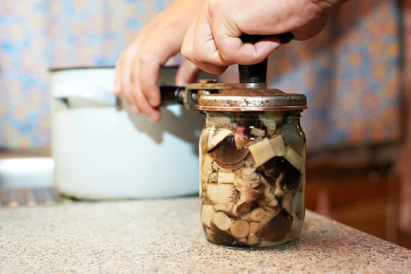 Manuale di processo conservazione dei funghi — Foto Stock