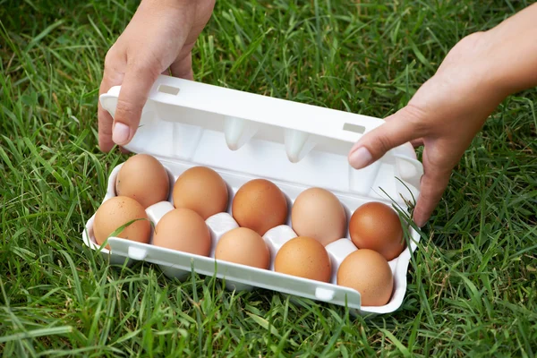 Packung Eier auf Gras — Stockfoto