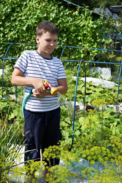 Junge gießt Blumen — Stockfoto