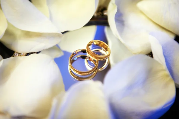 Gold wedding rings with petals — Stock Photo, Image