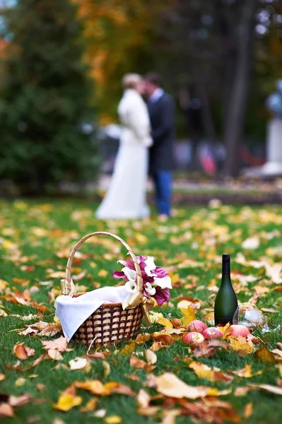 Novia feliz y novio en el parque en el picnic — Foto de Stock