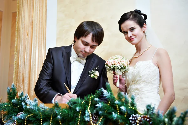 Solemn registration of marriage — Stock Photo, Image